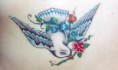 /album/fenykepgaleria/madar5-jpg/