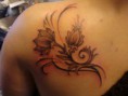 /album/fenykepgaleria/a310145-526642244059753-1841541999-n-jpg/