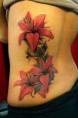 /album/fenykepgaleria/a942294-526641894059788-1228229879-n-jpg/