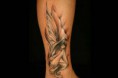 /album/fenykepgaleria/a942934-526642247393086-1484066620-n-jpg/