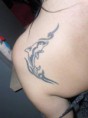 /album/fenykepgaleria/a969126-526642010726443-171912344-n-jpg/